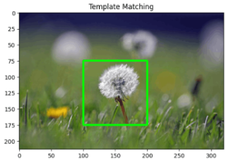 Template matching output: a green box drawn around a dandelion in a grass field